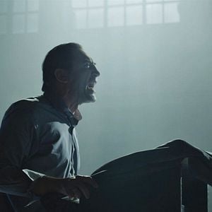 Foto Alacrán Enamorado