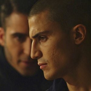 Foto Alacrán Enamorado