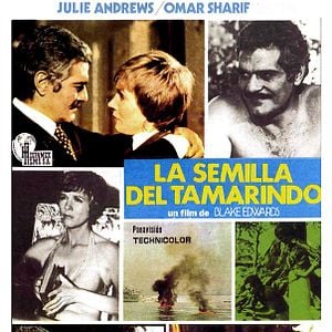 Foto La semilla del Tamarindo