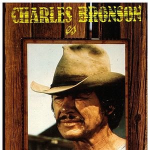 Foto Caballos salvajes