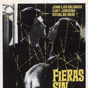 Foto Fieras sin jaula