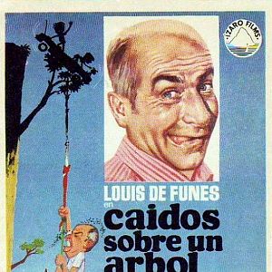 Foto Caídos sobre un árbol