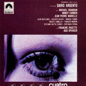 Foto Cuatro moscas sobre terciopelo gris