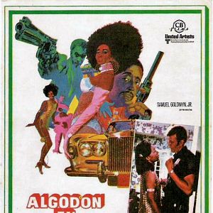 Foto Algodón en Harlem