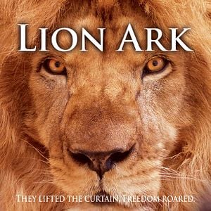 Foto Lion Ark