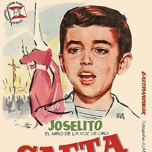 Foto Saeta del ruiseñor