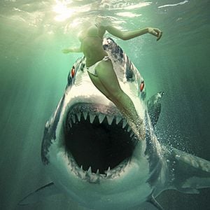 Foto Tiburón fantasma