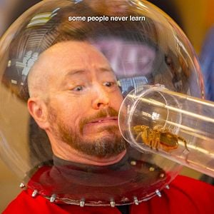 Foto jackass forever