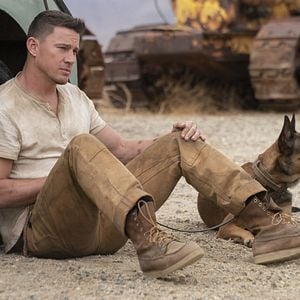 Foto Dog. Un viaje salvaje