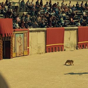 Foto King, mi pequeño rey