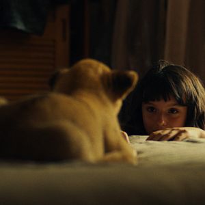 Foto King, mi pequeño rey