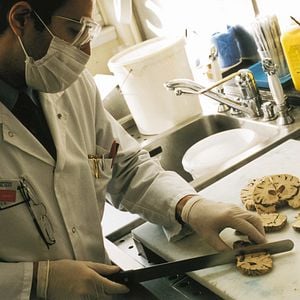 Foto Trouble Every Day