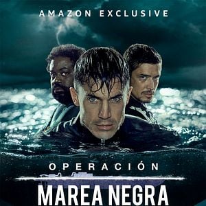 Foto Operación Marea Negra