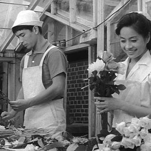 Foto Onna bakari no yoru