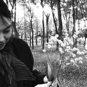 Foto La novelista y su película