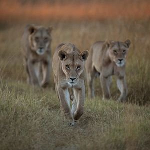 Foto El paraíso que sobrevive: un legado familiar