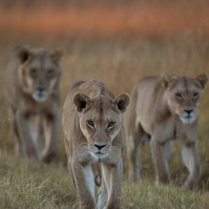 Foto El paraíso que sobrevive: un legado familiar