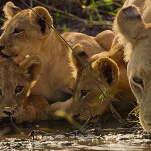 Foto El paraíso que sobrevive: un legado familiar