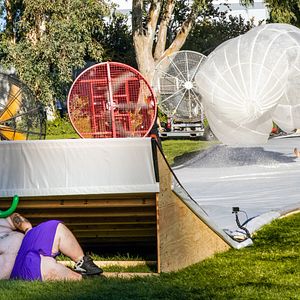 Foto jackass forever