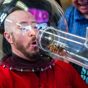 Foto jackass forever