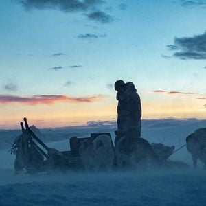 Foto Perdidos en el Ártico