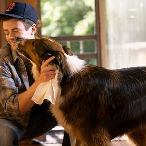 Foto El rescate de Ruby