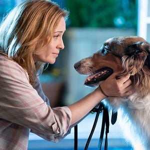 Foto El rescate de Ruby