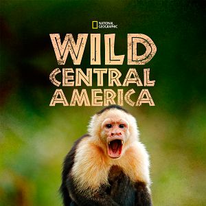 Foto Wild Centroamérica