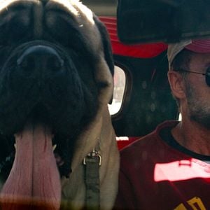 Foto Ambulance: Plan de huida