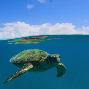 Foto Parques Nacionales majestuosos