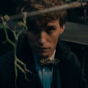 Foto Eddie Redmayne