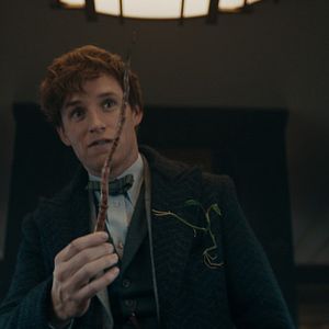 Foto Eddie Redmayne