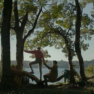 Foto Algunas bestias