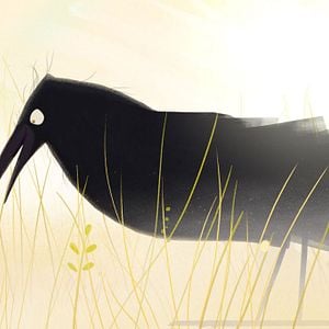 Foto Yuku y la flor del Himalaya