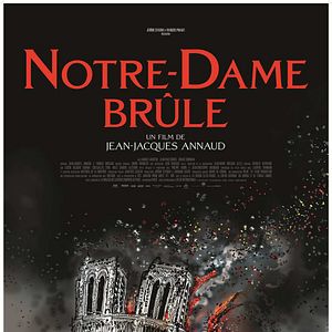 Foto Arde Notre-Dame