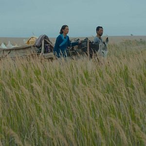 Foto El regreso de las golondrinas