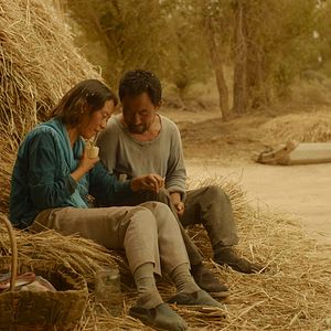 Foto El regreso de las golondrinas