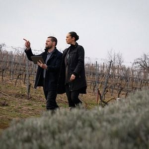 Foto Vinessa Vidotto