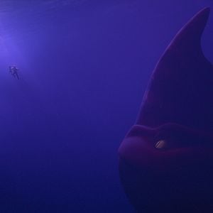 Foto El monstruo marino