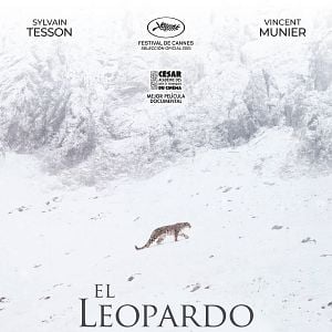 Foto El leopardo de las nieves