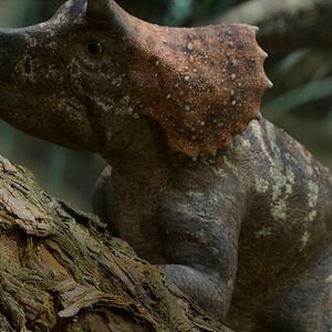 Foto Planeta Prehistórico