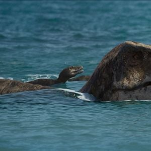Foto Planeta Prehistórico