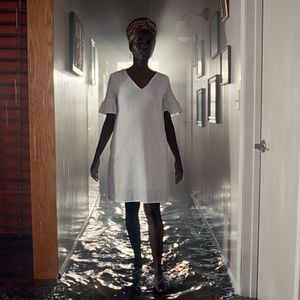 Foto Los árboles de la paz