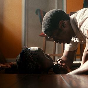 Foto Los árboles de la paz