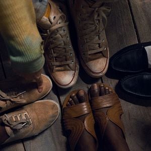 Foto Los árboles de la paz