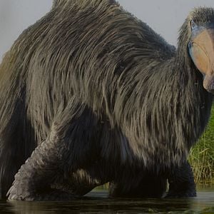 Foto Planeta Prehistórico