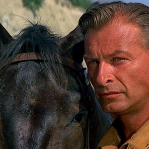 Foto La carabina de plata