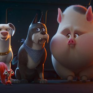 Foto DC Liga de Supermascotas