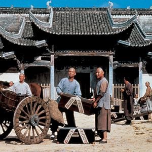 Foto Tigre y Dragón