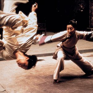 Foto Tigre y Dragón